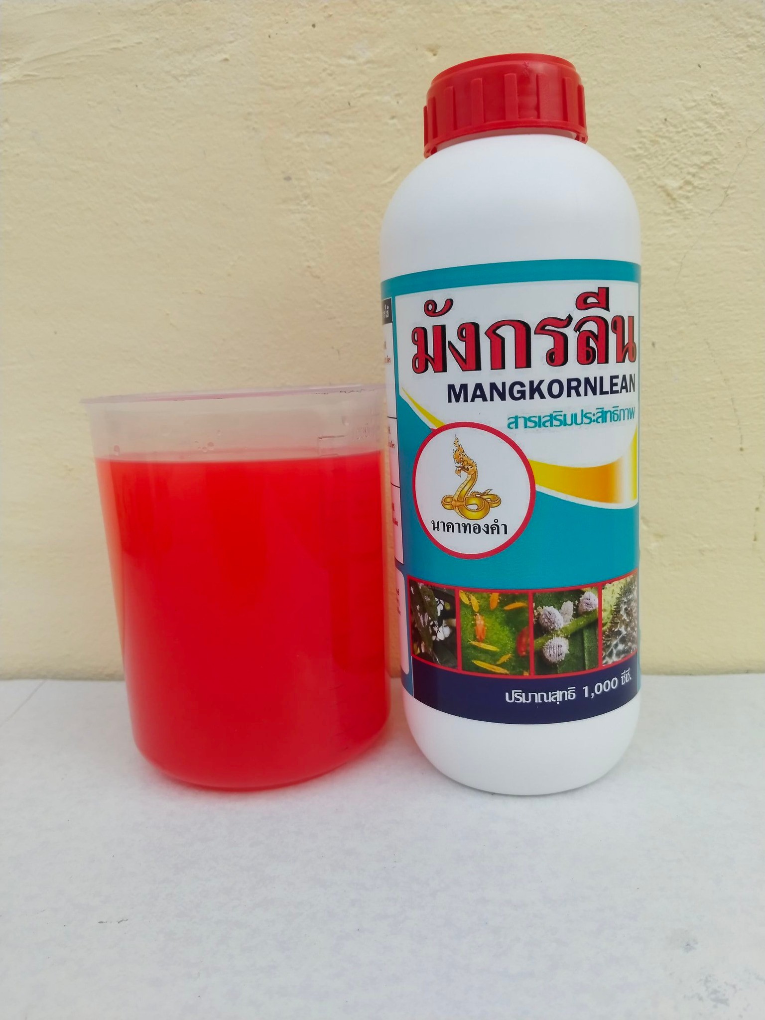 ผลิตภัณฑ์ของเรา