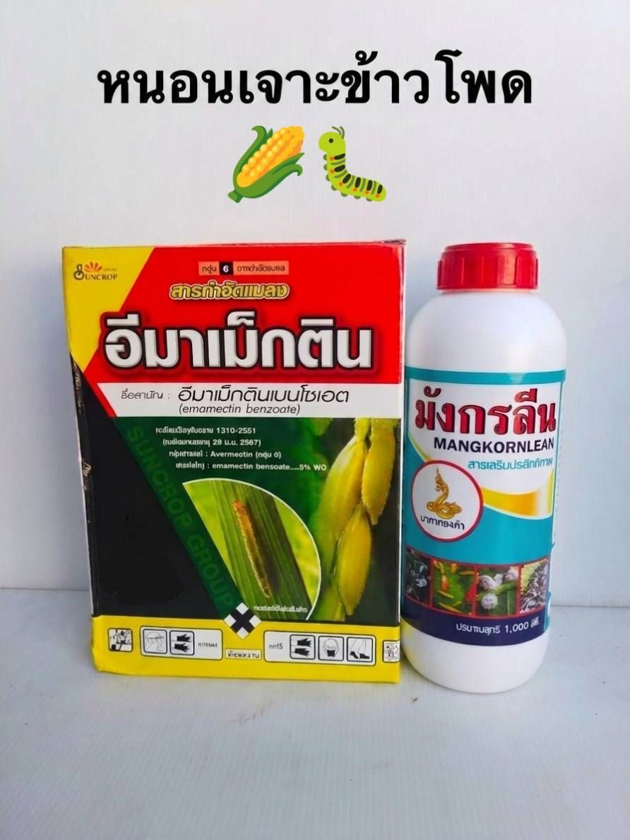 สารชีวภาพป้องกันและกำจัดแมลงศัตรูพืช ปลอดสารพิษ